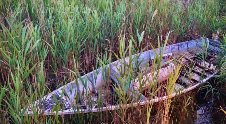 Old Dobbs Wayne County NC Genealogy